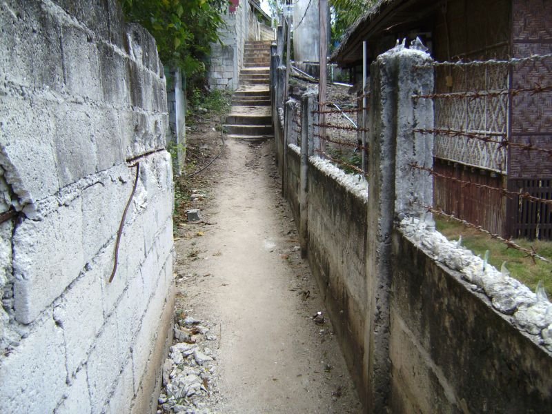 Path from the beach to Alona Grove